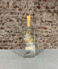 Pienaar & Son Orient Gin 43% 0,7L