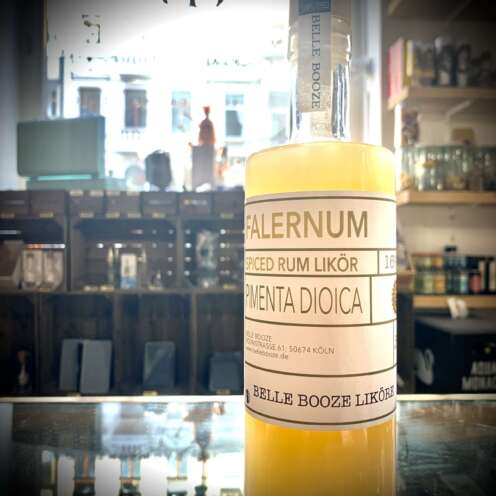 Alternative view of Belle Booze Falernum 16% 0,5L